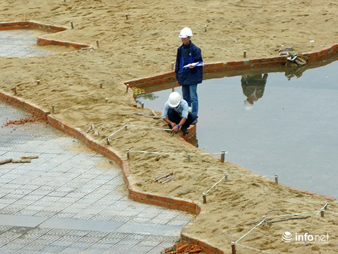 Bản đồ Việt Nam bằng hoa có diện tích 300 mét vuông tại Đà Nẵng - ảnh 4