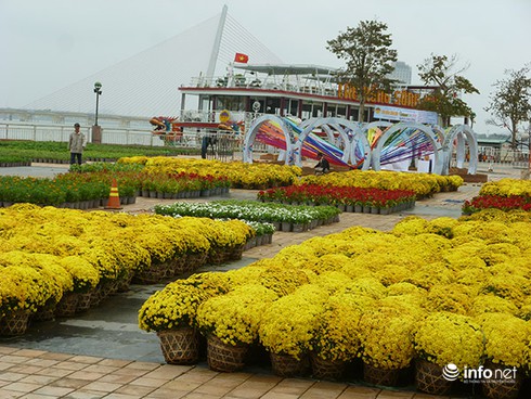 Đà Nẵng: Đường hoa xuân Bạch Đằng rực rỡ chờ giờ khai hội - ảnh 1