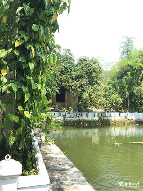 Đập bỏ biệt thự tiền tỉ ở Hải Vân: Miễn cưỡng phá dỡ mà không phục? - ảnh 3
