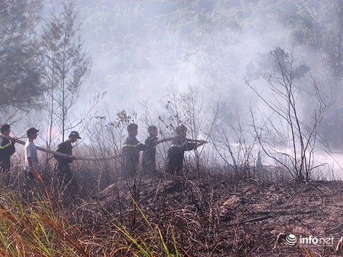 Đà Nẵng: Nguy cơ cháy rừng tăng lên mức nguy hiểm - ảnh 1
