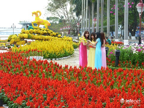 Đà Nẵng: Thi ý tưởng trang trí hoa, điện chiếu sáng Tết Bính Thân 2016 - ảnh 1