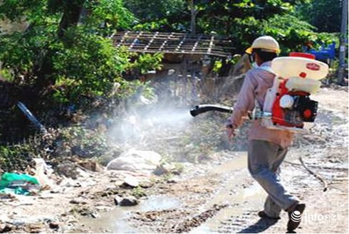 Đà Nẵng: Đến giữa tháng 11 phải khống chế được dịch sốt xuất huyết - ảnh 1