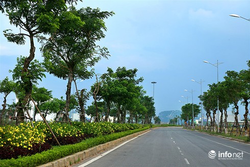 Sức hút lớn của dự án Khu đô thị sinh thái Hòa Xuân (Đà Nẵng) - ảnh 2