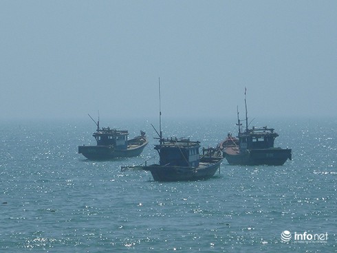 Đà Nẵng: Vì sao tàu cá xa bờ phải có 7 tin nhắn mới được hỗ trợ dầu? - ảnh 1