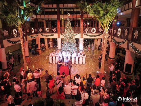 Đà Nẵng: Furama Resort rực sáng trong lễ thắp sáng cây thông Noel 2015 - ảnh 1