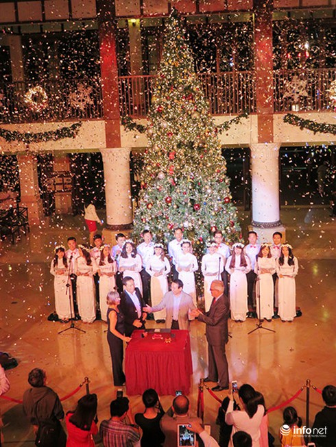 Đà Nẵng: Furama Resort rực sáng trong lễ thắp sáng cây thông Noel 2015 - ảnh 6