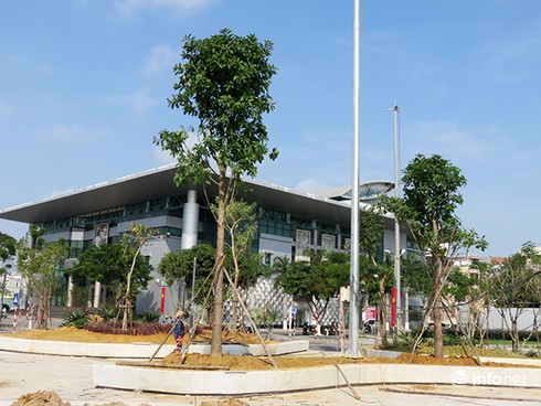 Sau khi Infonet phản ánh, Đà Nẵng thay cây xanh ở công viên trung tâm - ảnh 1