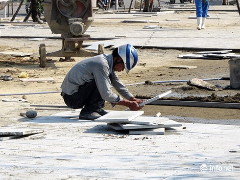 Sau khi Infonet phản ánh, Đà Nẵng thay cây xanh ở công viên trung tâm - ảnh 4