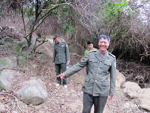 Đà Nẵng: Được giao khoán đất trồng rừng ở Sơn Trà nhưng xây dựng trái phép! - ảnh 1