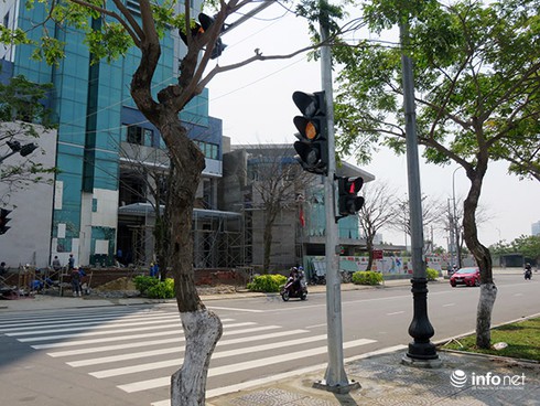Đà Nẵng: Người dân lạ lẫm với đèn tín hiệu dành cho người đi bộ qua đường - ảnh 1