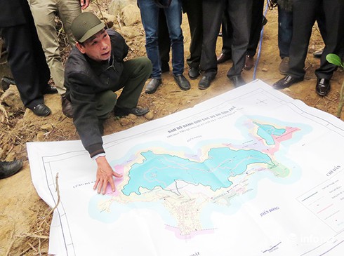 Đà Nẵng cách chức Hạt trưởng, Hạt phó kiểm lâm vì vụ phá rừng Sơn Trà - ảnh 1