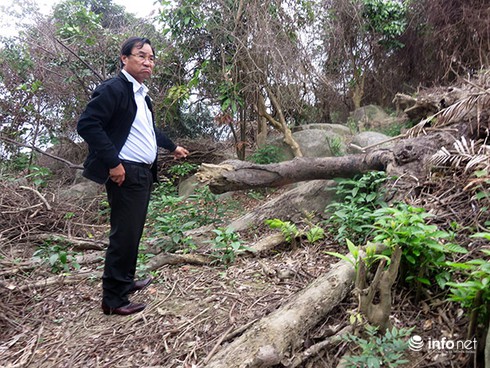 Đà Nẵng: Chính thức công bố quyết định thanh tra vụ phá rừng Sơn Trà - ảnh 1