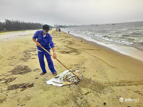 Giám đốc Sở TN-MT tắm biển để khẳng định