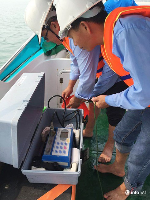 Biển Đà Nẵng tiếp tục an toàn - ảnh 2