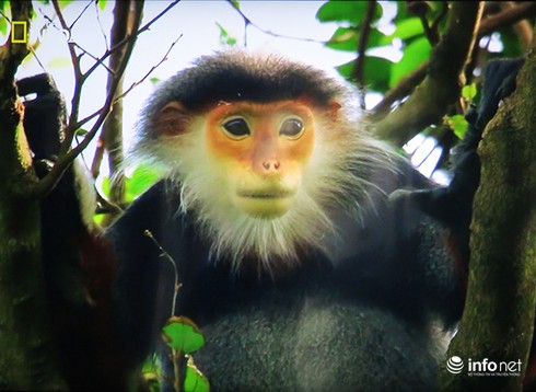 Đà Nẵng nên tặng quà lưu niệm gì cho các nhà lãnh đạo tham dự APEC 2017? - ảnh 7