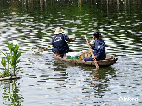 Đà Nẵng: Cá chết bất thường, nổi trắng hồ Công viên 29/3 - ảnh 11