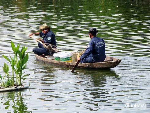 Đà Nẵng: Cá chết bất thường, nổi trắng hồ Công viên 29/3 - ảnh 12