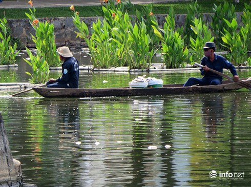 Đà Nẵng: Cá chết bất thường, nổi trắng hồ Công viên 29/3 - ảnh 13