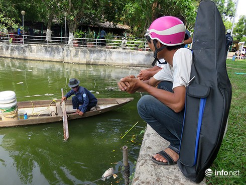 Đà Nẵng: 5 ngày nữa mới biết nguyên nhân cá chết trắng hồ Công viên 29/3! - ảnh 4