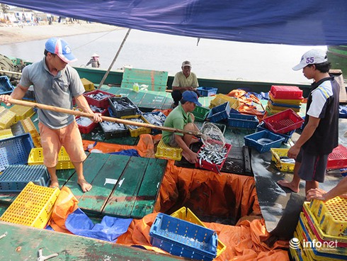 Đà Nẵng: Ban hành phương án dẹp “điểm nóng” ô nhiễm âu thuyền Thọ Quang - ảnh 1