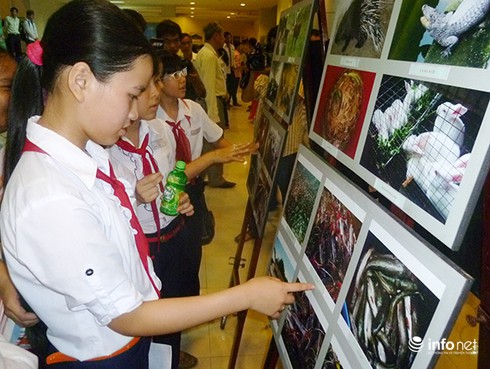 Đà Nẵng: Thi thiết kế biểu tượng đa dạng sinh học - ảnh 1