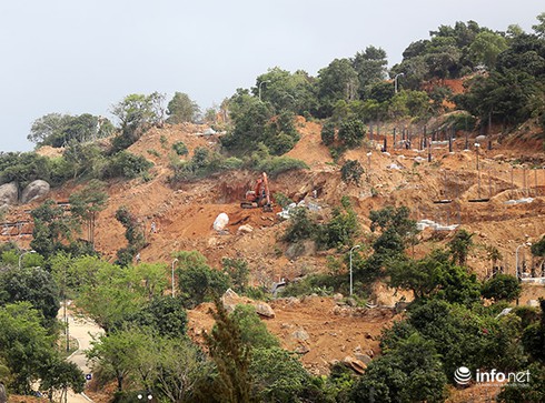 Vụ băm nát Sơn Trà: Chưa được phê duyệt báo cáo đánh giá tác động môi trường! - ảnh 1