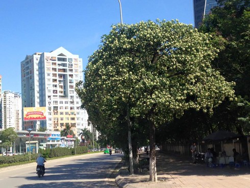 Khắp nơi khốn khổ vì từng