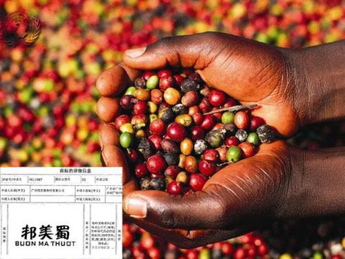 thương hiệu cà phê Buôn Mê Thuột