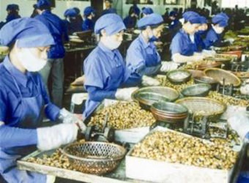 Hạt điều là một trong những mặt hàng xuất khẩu sang Hoa Kỳ