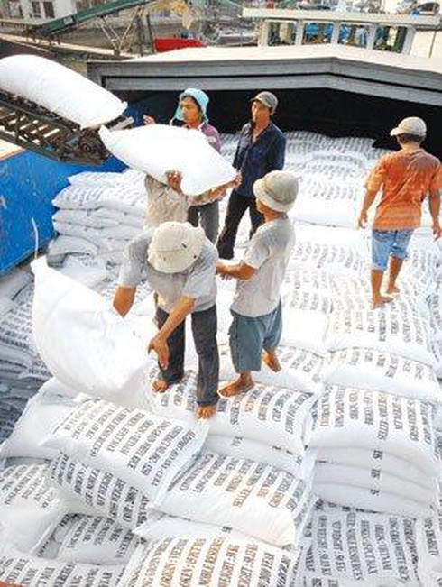 Chuyển gạo xuống tàu để xuất khẩu tại một doanh nghiệp ở Cần Thơ