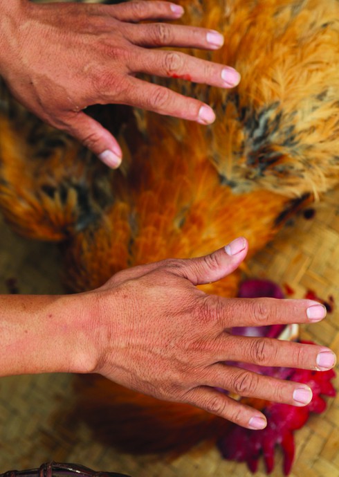 Người Hà Nhì cúng Trời - ảnh 6