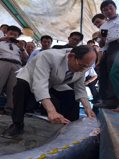 Cá ngừ đại dương: Sản phẩm chiến lược của ngành thủy sản Việt Nam - ảnh 2