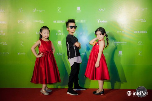 Những mẫu nhí nổi bật trên sân khấu Tuần lễ thời trang trẻ em Việt Nam - ảnh 13