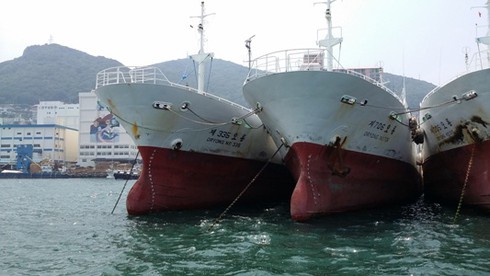 Chỉ ưu đãi lãi suất cho đóng mới và nâng cấp tàu cá - ảnh 1