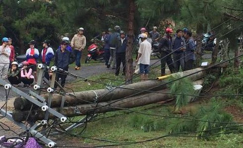 Cột điện đổ đè chết nữ giáo viên - ảnh 1