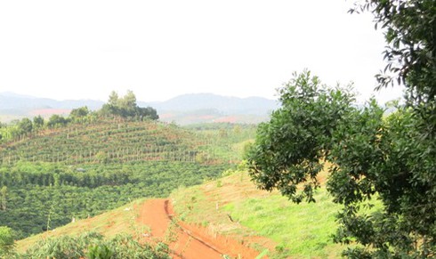 Đắk Nông: Cựu cán bộ tỉnh được cấp 13 thửa đất trái quy định - ảnh 2