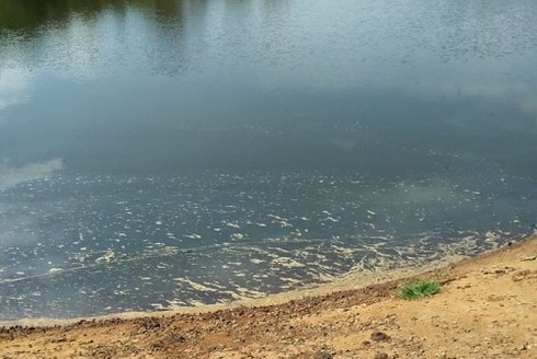 Đắk Lắk: Gần nửa tấn cá chết bất thường nổi trắng hồ Ea Trum - ảnh 4