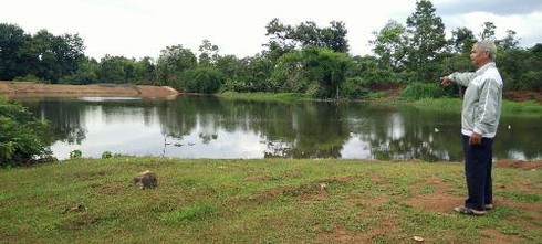 Đắk Lắk: Gần nửa tấn cá chết bất thường nổi trắng hồ Ea Trum - ảnh 5