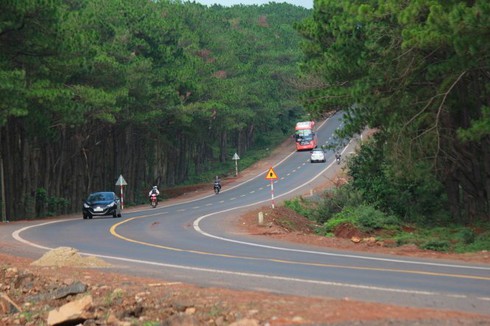 Để lái xe an toàn hơn trong Tết Nguyên đán - ảnh 2