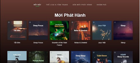Spotify là gì mà hot đến vậy? - Ảnh 3.