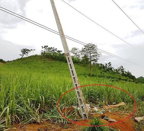 Viettel thông tin về vụ việc mất an toàn lao động tại Nghệ An khiến 4 người dân tử vong - ảnh 1