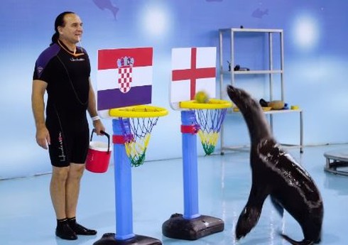 Dự đoán kết quả tỉ số trận bán kết Anh vs Croatia ngày 12/7 của