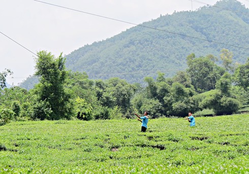 Theo chân lính Viettel băng rừng vượt suối ứng cứu khẩn cấp thông tin sau cơn bão số 3 - ảnh 3