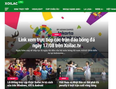 Ngành nội dung số loay hoay chống vi phạm bản quyền trên Internet - ảnh 1