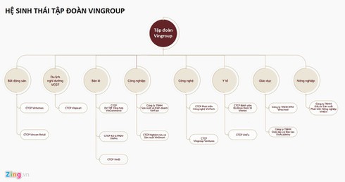 Vingroup con lai gi sau khi buong Vinmart, VinEco? hinh anh 1