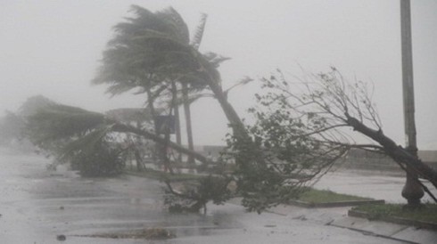 Tin thế giới 18h30: Châu Á liên tiếp tai nạn máy bay - ảnh 10