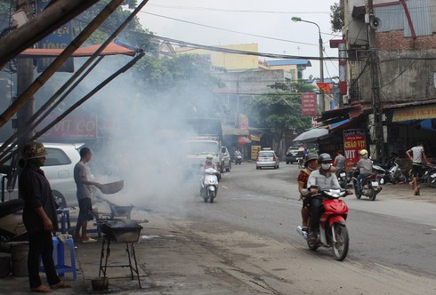 Hà Nội: Vịt Vân Đình “hành” người đi đường - ảnh 1