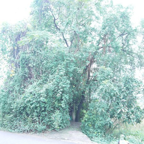 Lý giải về ngôi mộ