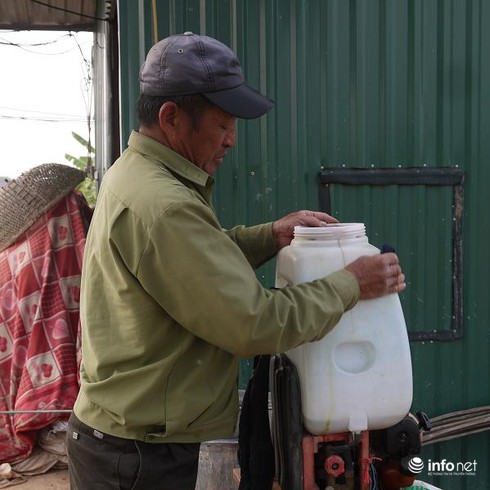 Hà Nội: Chưa bao giờ giá hoa thê thảm đến vậy - ảnh 1