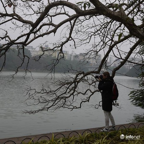 Dự báo thời tiết Tết Nguyên đán Ất Mùi 2015: Miền Bắc ấm, miền Nam ít mưa - ảnh 1